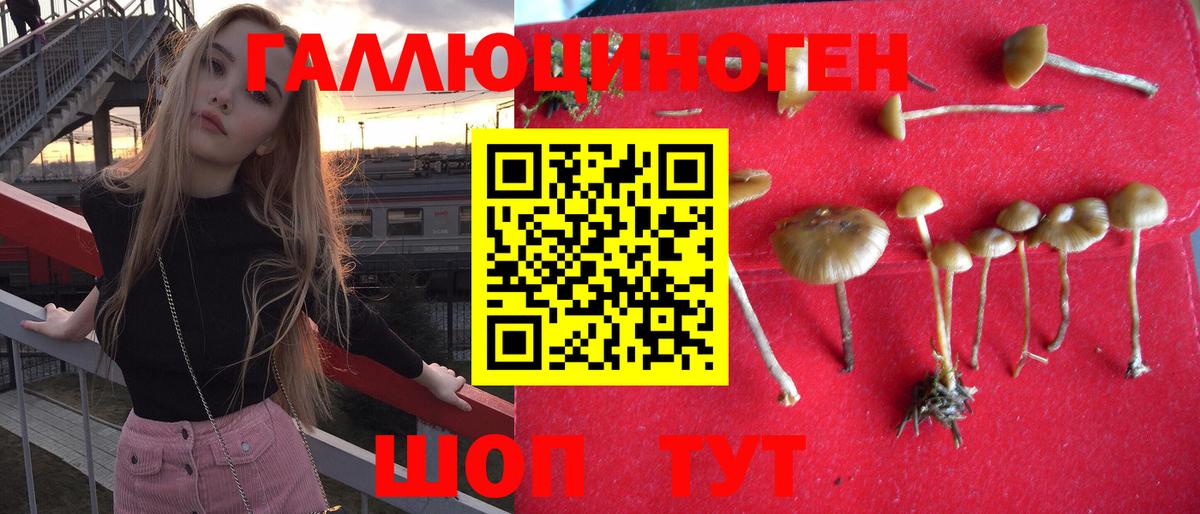 Псилоцибиновые грибы MAGIC MUSHROOMS Мценск